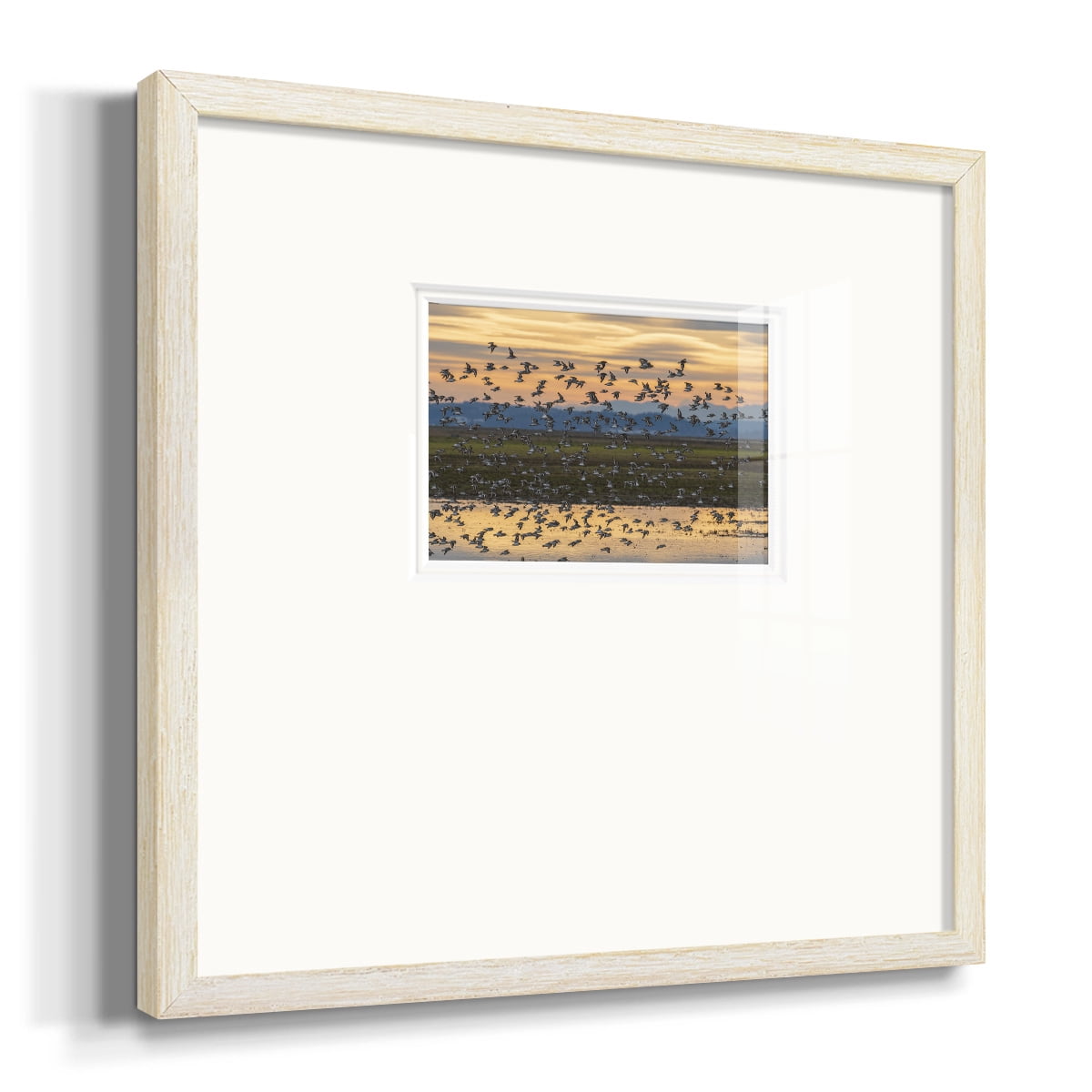 Sunset FlightPremium Framed Print