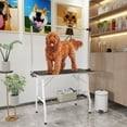thumbnail image 2 of PawHut Dog Grooming Table, Pet Grooming Table with Adjustable Arms, Black, 2 of 10