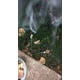 thumbnail image 4 of 60 varillas repelentes de mosquitos – Varillas de incienso para mosquitos, repelente de mosquitos, 4 of 4