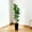 Black basin 5FT, variant on Gaderth Artificial Fiddle Leaf Fig Tree with Planter, Faux Ficus Tree Fake Moss Tall Fake Tree for Home Decor for Home Office Wedding Party Gifts Indoor Outdoor Decor