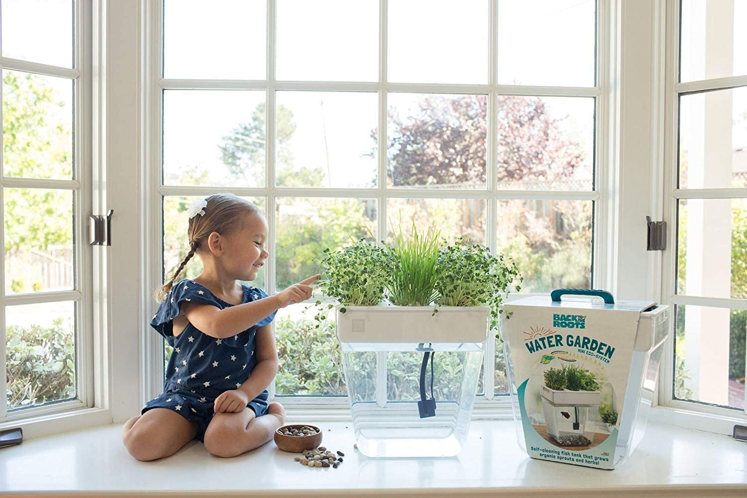 Back to the Roots 3 Gal. Self-Cleaning Aquaponic Water Garden Fish Tank Aquarium