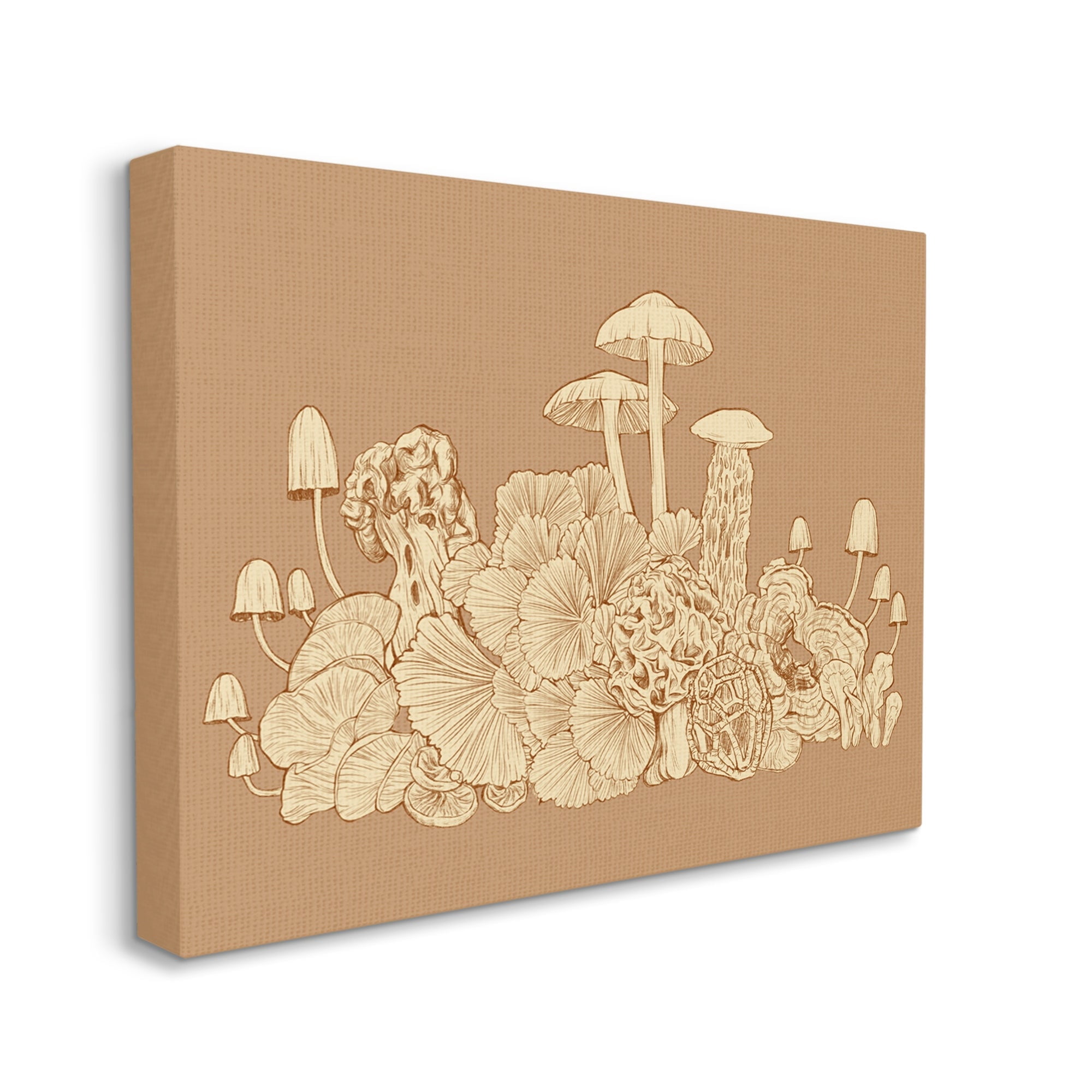 Stupell Industries Intricate Forest Mushrooms Plants Neutral Tones Drawing Graphic Art Gallery Wrapped Canvas Print Wall Art, Design by Ziwei Li