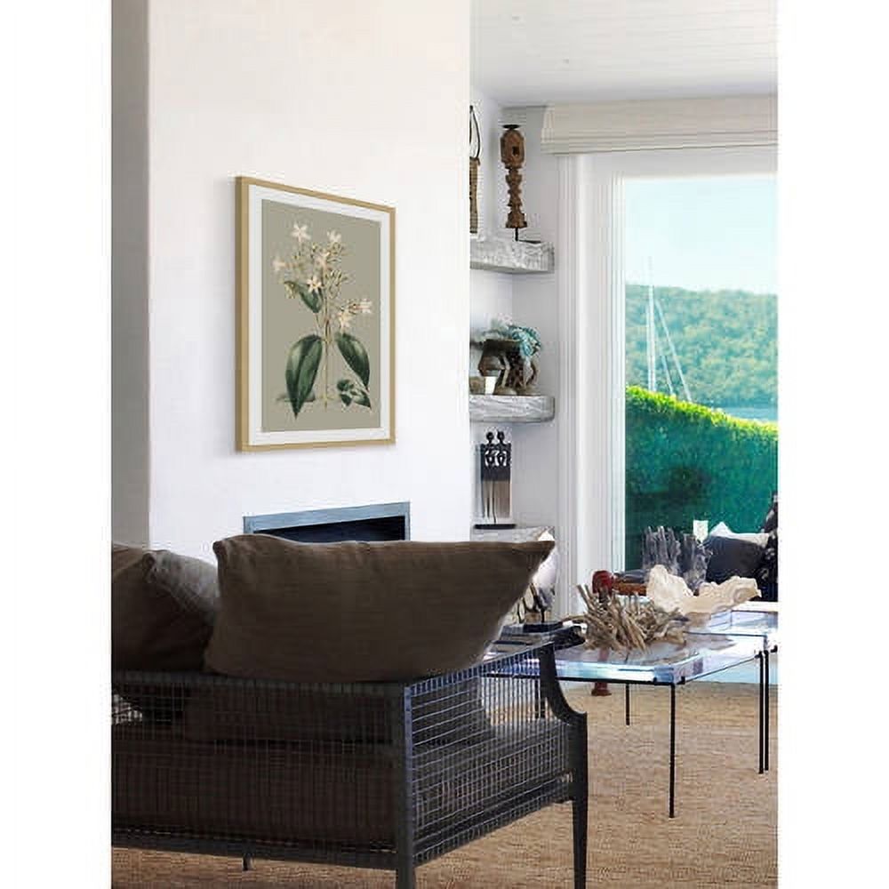 Marmont Hill "Botanical Cabinet I" Framed Painting Print