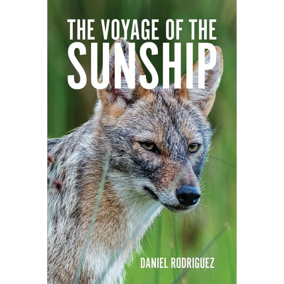 The Voyage of the Sunship, (Paperback)