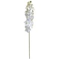 thumbnail image 4 of Ashland White Orchid Stem, 12 Pack, 4 of 4