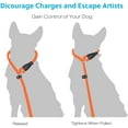 thumbnail image 5 of Dog Training Slip Leash, Dog Slip Lead, Puppy Obedience Recall Training Lead, 6 ft Long, Heavy Duty Rope with Reflective Design, Comfortable Handle, for Medium Large Dogs, 5 of 7