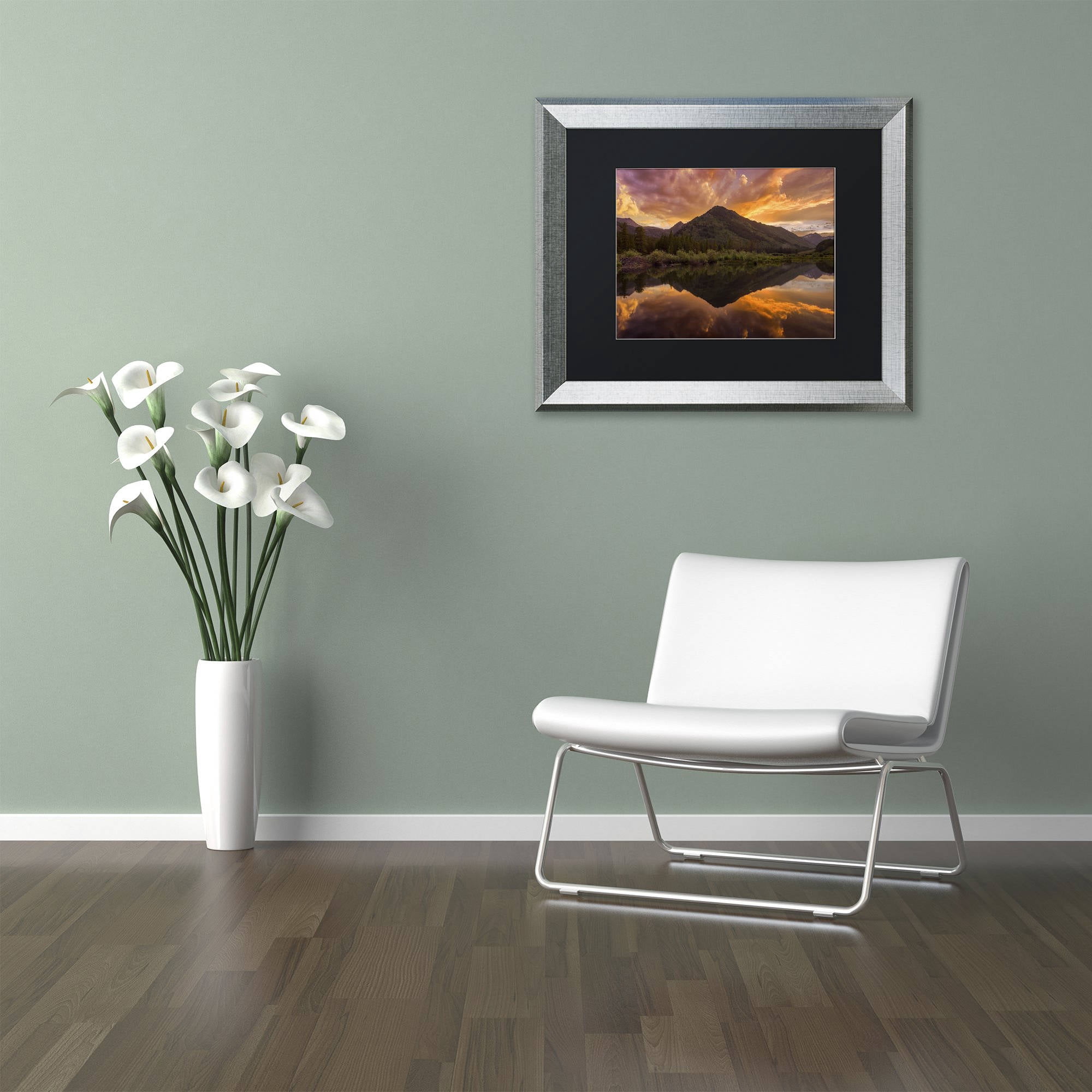 Trademark Fine Art "Orange Majesty" Canvas Art by Michael Blanchette Photography Black Matte, Silver Frame