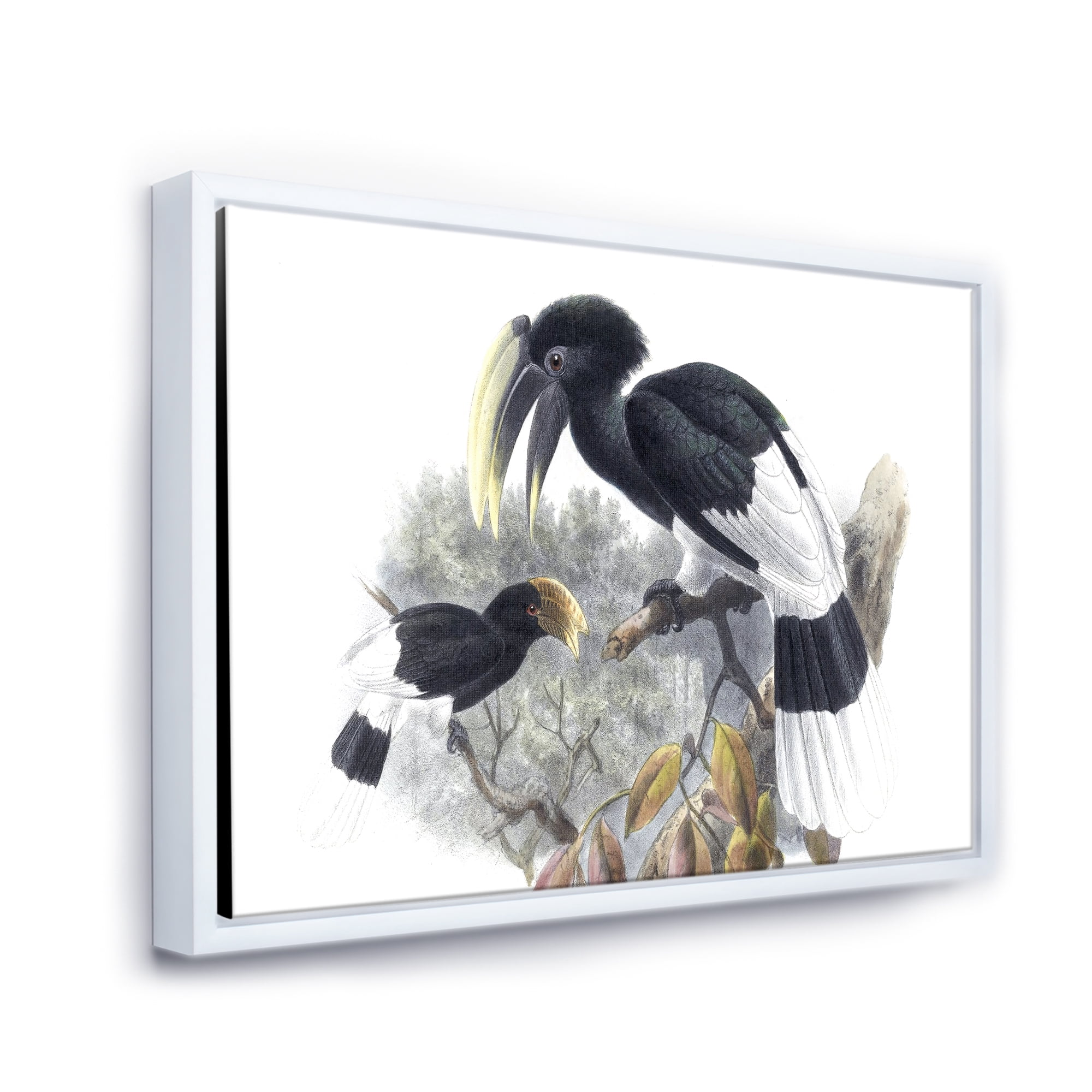 Designart 'Ancient Bird Illustration I' Traditional Framed Canvas Wall Art Print