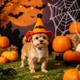 thumbnail image 2 of Qocolcyl Adjustable Halloween Dog Cat Hat, Soft Breathable Orange Pumpkin Mesh Party Costume, Cute Festive Cosplay Photo Accessory, Comfortable Pet Headwear for Indoor Outdoor Halloween Decorations, 2 of 6