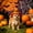 A, variant on Adjustable Halloween Pet Hat 5.9 Inch - Pumpkin Wizard Costume Accessory with Elastic Band for Dogs Cats Party Photo Props Festive Decor