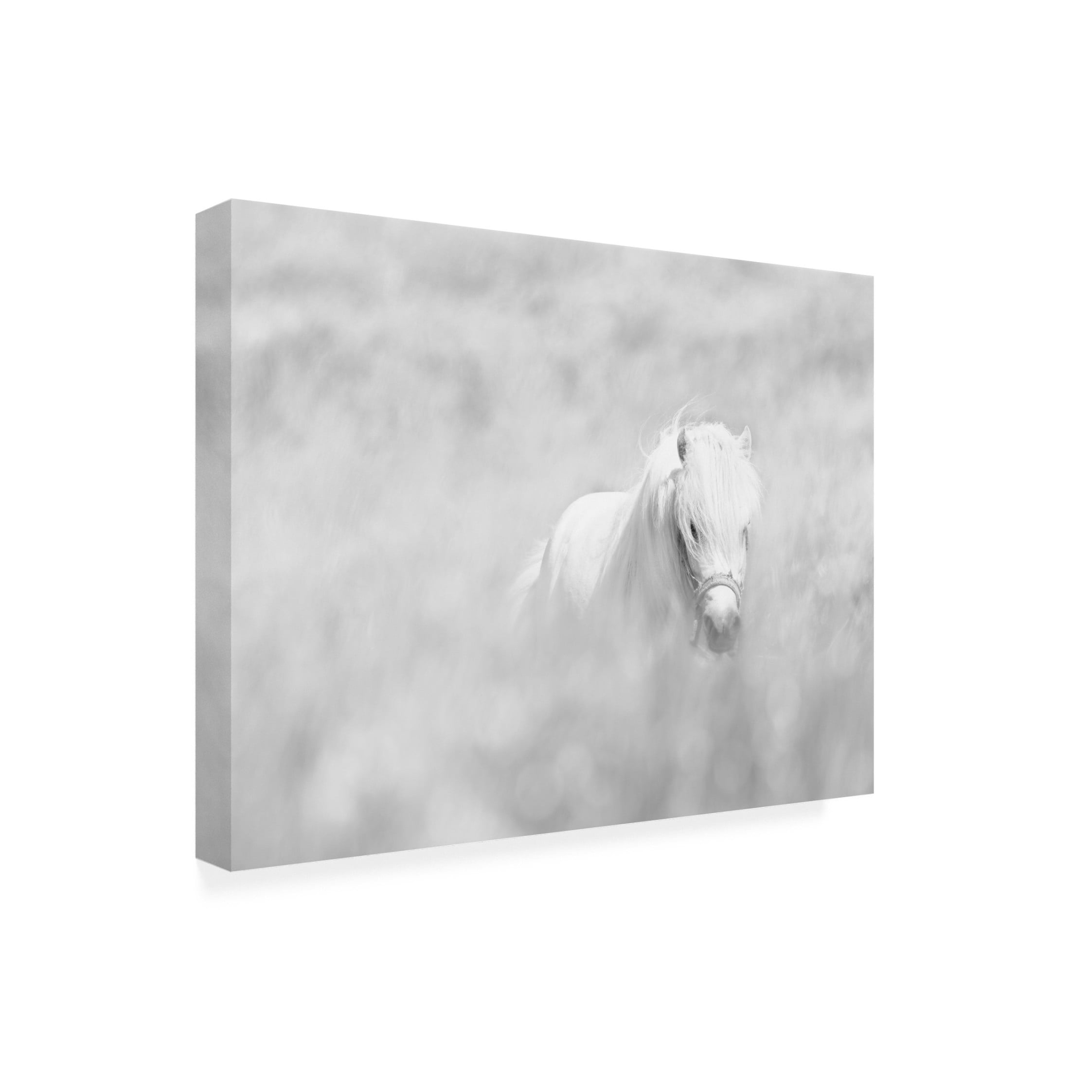 Trademark Fine Art Oles Paritskiy White Horse Canvas Wall Art