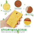 thumbnail image 2 of Paquete de 12 esponjas (coco) naturales para cocina, biodegradables, ecológicas, antiarañazos, compostables, celulosa, sisal y cáscara de coco, esponja para fregar, 2 of 5