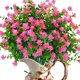 thumbnail image 1 of Flores artificiales ZWYOQI de plástico rosa resistentes a los rayos UV (8 unidades), 1 of 7