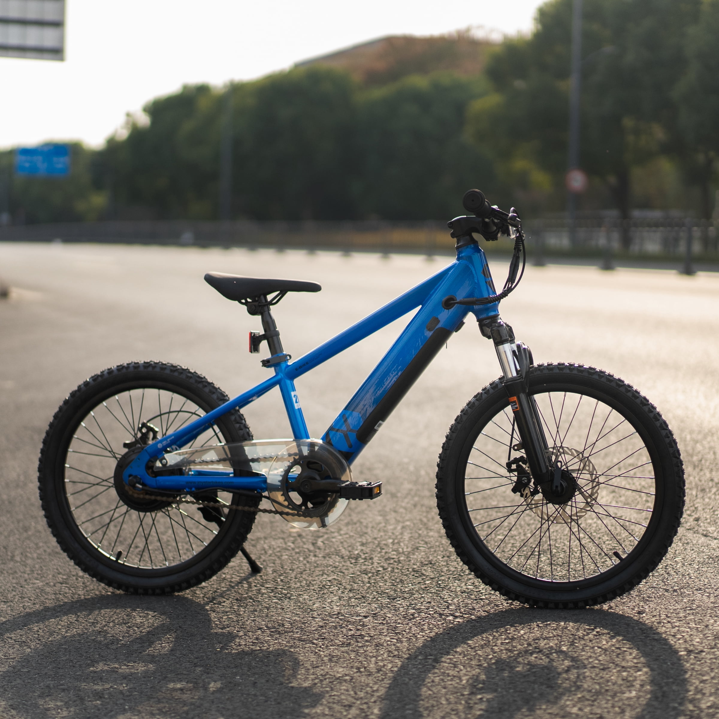 Joystar Electric Bike for Teenagers, 250W Brushless Motor, 15