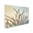 thumbnail image 3 of Trademark Fine Art 'Dewy Grass' Canvas Art by Cora Niele, 3 of 3