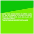 thumbnail image 3 of ExtraRefreshers Spearmint Chewing Gum 40.0 EA Pack of 2, 3 of 18