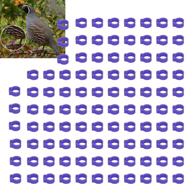 100PCS 8mm Plastic Pigeons Leg Rings, Reusable and Easy to Clean, Suitable for Pigeons Identification, Marking