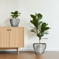 thumbnail image 3 of Flower Pots Set of 3, 6/8/10 inch Round Ceramic Planter with Drainage, Modern Pots for Indoor Plants for Succulents & Office Decor, Slivery, 3 of 8