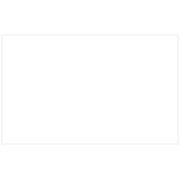 We Love Sundays Colour Wheel Cups, 9oz, food grade quality, 10 per pack