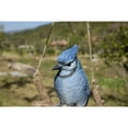 thumbnail image 5 of Hi-Line Gifts Hanging Blue Jay on a Branch Outdoor Garden Statue - 6", 5 of 9