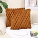 thumbnail image 1 of Nvzi Funda de almohada de color sólidoFunda de almohada de estilo simple, proceso de terciopelo, sin núcleo de almohada, funda de almohada de 17,7 x 17,7 pulgadas (marrón), 1 of 4