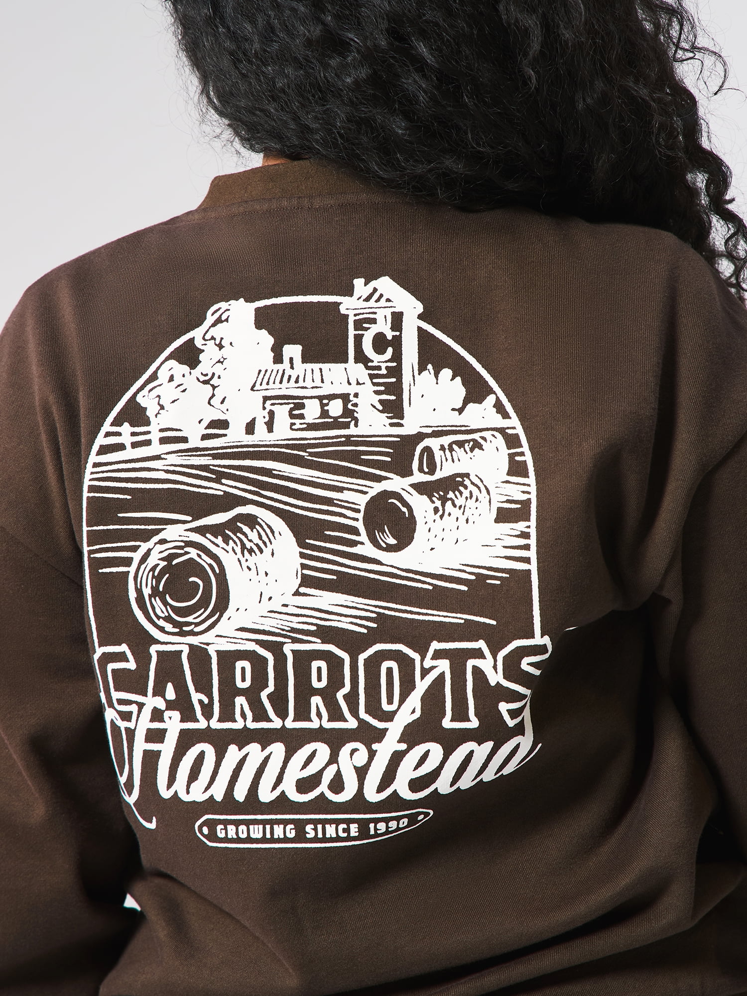 Carrots by Anwar Carrots, Men's & Big Men's Graphic Sweatshirt, Homestead, Sizes XS-3XL