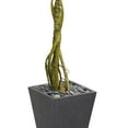 thumbnail image 3 of Nearly Natural 6 ft. Ficus Artificial Tree in Slate Planter UV Resistant (Indoor/Outdoor), 3 of 3