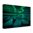 thumbnail image 4 of sarawut intarob 'Cool' Canvas Art, 4 of 4