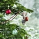 thumbnail image 1 of Oveja Linda de Navidad 2024 Como Decoración Familiar Navideña, 1 of 3