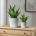 thumbnail image 3 of Hometrends 8" Ceramic Ribbed Pot-White, 3 of 8
