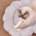 thumbnail image 4 of Moocorvic Small Cat Bed Mat Round 19.7'' Soft Warm Cat Pad with Pillow Around, Reusable Cat Desk Bed for Small to Medium Pet, 4 of 7