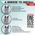 thumbnail image 4 of Collar antipulgas y garrapatas para perros ZAFELOUS, 4 unidades, 4 of 5