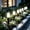 Multicolor1015, variant on Tuvgenk solar garden lights outdoor Dusk till Dawn Walkway Light LED Plastic Multicolor decorative garden stakes lights