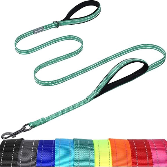 Eryueer Dog Leash Twingrip Double Handle Dog Leash with Traffic Handle & 2 Loop for Walking & Training, Traffic Control Reflective Heavy Duty for Puppy Pet, 5ft x 1/2in, Turquoise