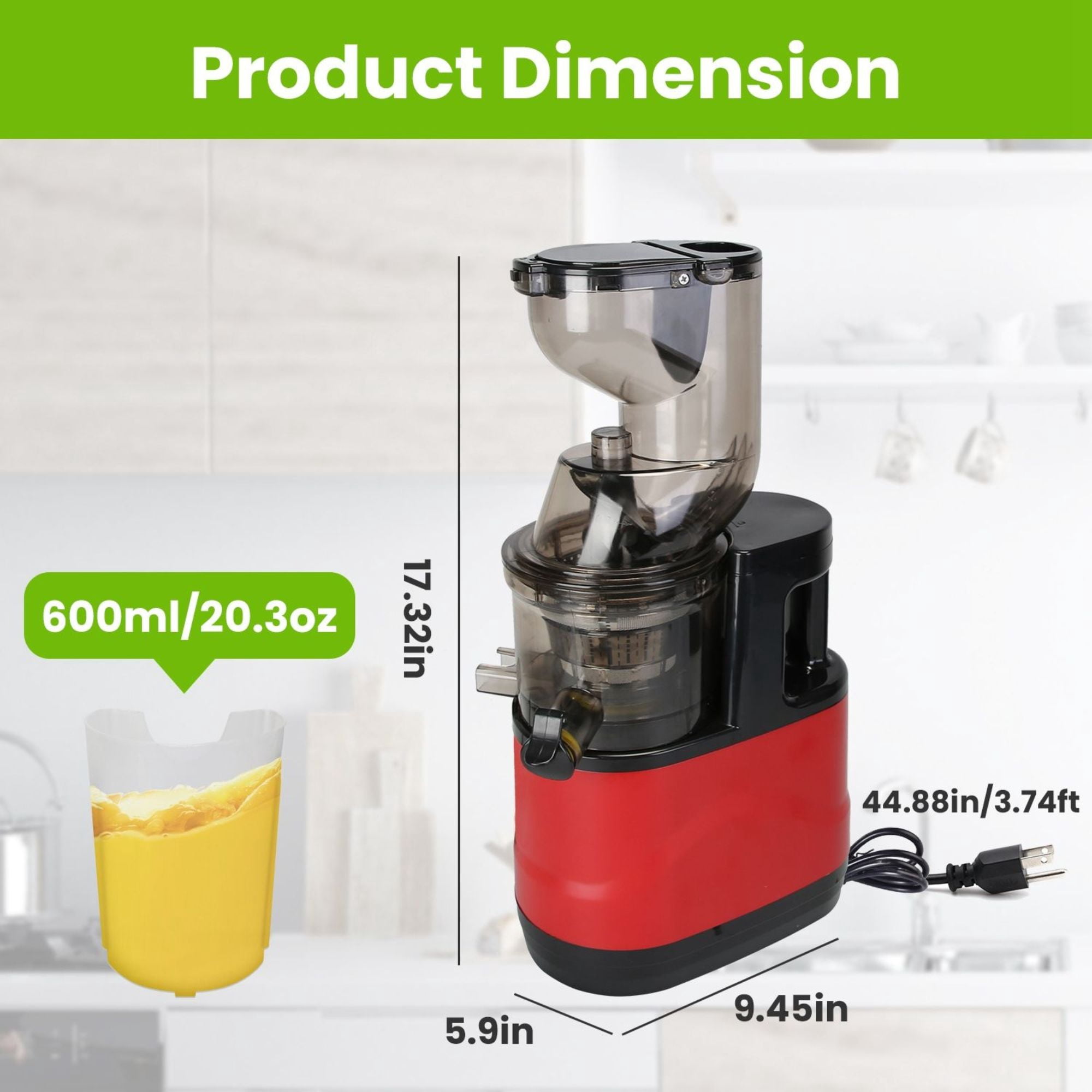 300W Cold Press Juicer Machine - Slow Masticating Juicer for Fruits & Veggies