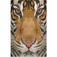 thumbnail image 2 of Dreamtimes Tiger 3D Animal Print Kitchen Towels Dish Bar Tea Towel Dishcloths Set of 4 Super Absorbent Soft 18 x 28 inches, 2 of 7