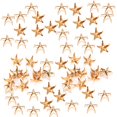 thumbnail image 1 of Décoration Rivets200Pcs Rivets Étoiles 5pointés Rivets Accessoires Rivets Étoiles Qualité Supérieure, 1 of 5