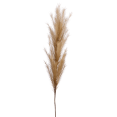 thumbnail image 1 of Bouclair Beige Faux Stem, 1 of 2