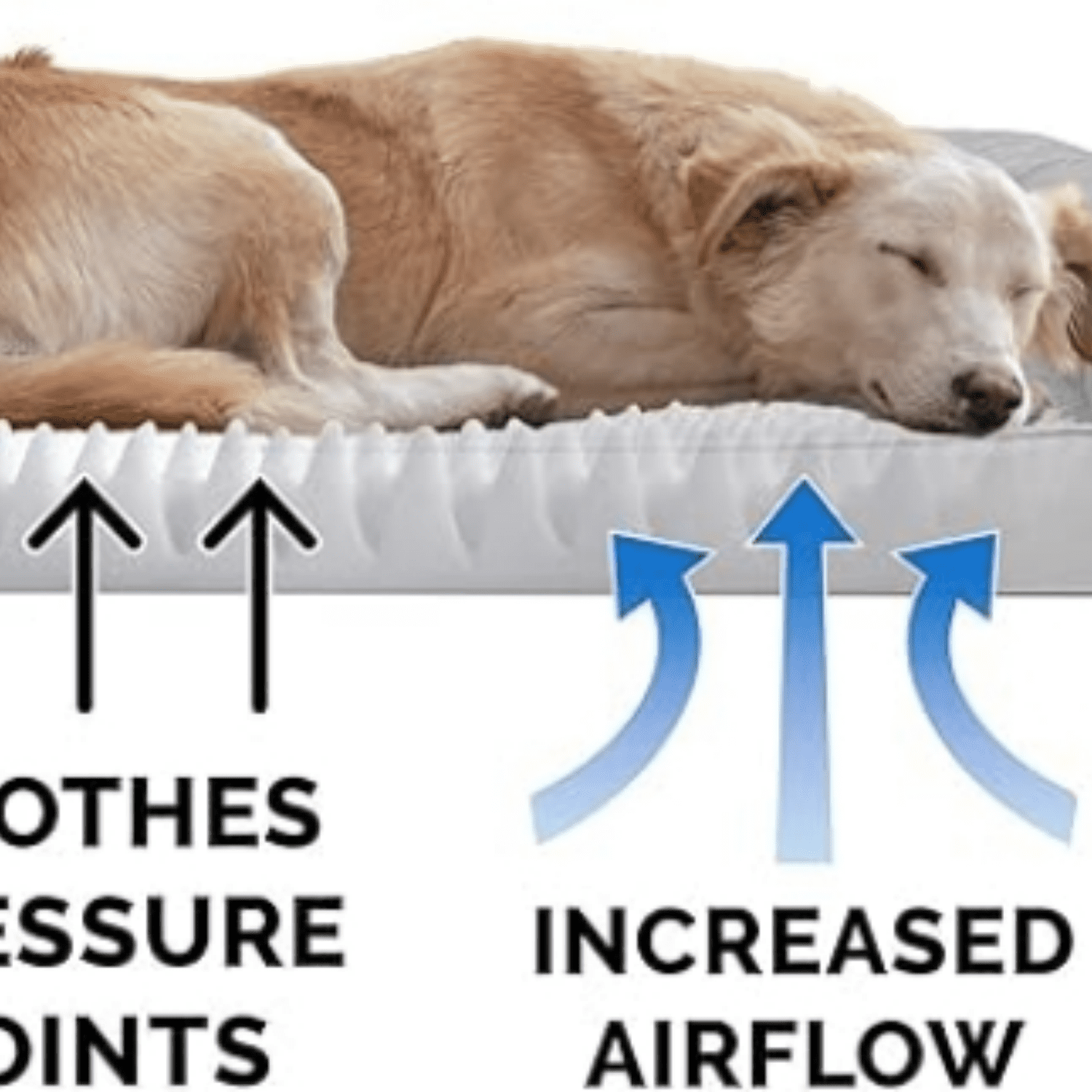 Furhaven Orthopedic Dog Bed for Large Dogs w/ Removable Bolsters & Washable Cover, For Dogs Up to 95 lbs - Quilted Sofa - Silver Gray, Jumbo/XL