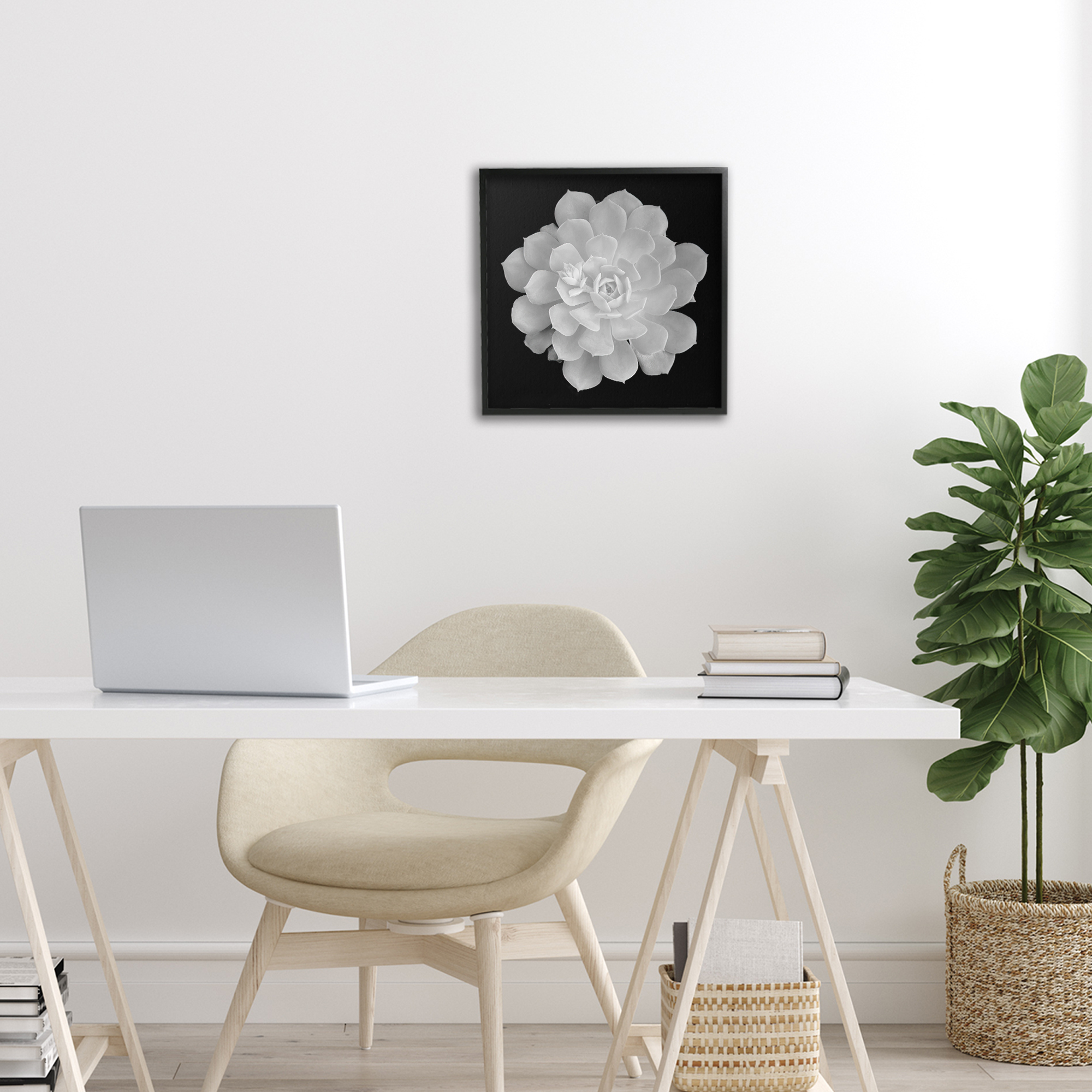 Pure White Succulent Contrast Black Framed Giclee Art, design by Phillip Flowers
