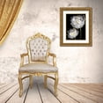thumbnail image 3 of Austin, Vanessa 25x32 Gold Ornate Wood Framed with Double Matting Museum Art Print Titled - Tulips on Black II, 3 of 4