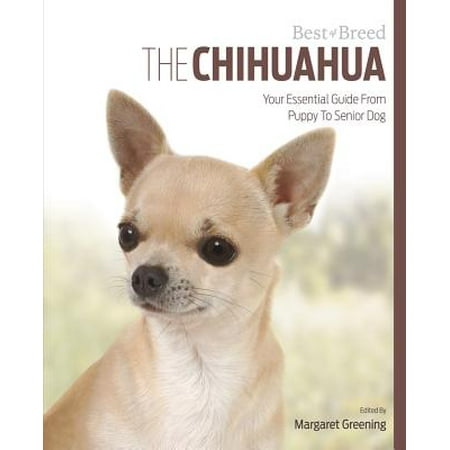 The Chihuahua : Your Essential Guide from Puppy to Senior (Best Small Dogs For Seniors)