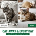 thumbnail image 5 of Cat-Repellent-Spray, Cat Deterrent Spray 100ml ， No Scratch Spray for Cats ， Citrus Spray for Cats & Dogs ， Furniture Protection ，Cat Pee Deterrent & Christmas Tree Spray Indoor & Outdoor Use., 5 of 8