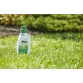thumbnail image 3 of Roundup For Lawns 2 Concentrate Weed Killer for Northern Grass, 32 oz., Kills 250+ Weeds, 3 of 8