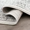 thumbnail image 5 of Bliss Rugs Magic Traditional 8' x 10' Gray and Cream Indoor Area Rug, 5 of 5