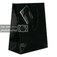 thumbnail image 5 of JAM Gift Bag Assortment, 2 Black Bags & Green Tissue Paper, 3/Pack, 5 of 5