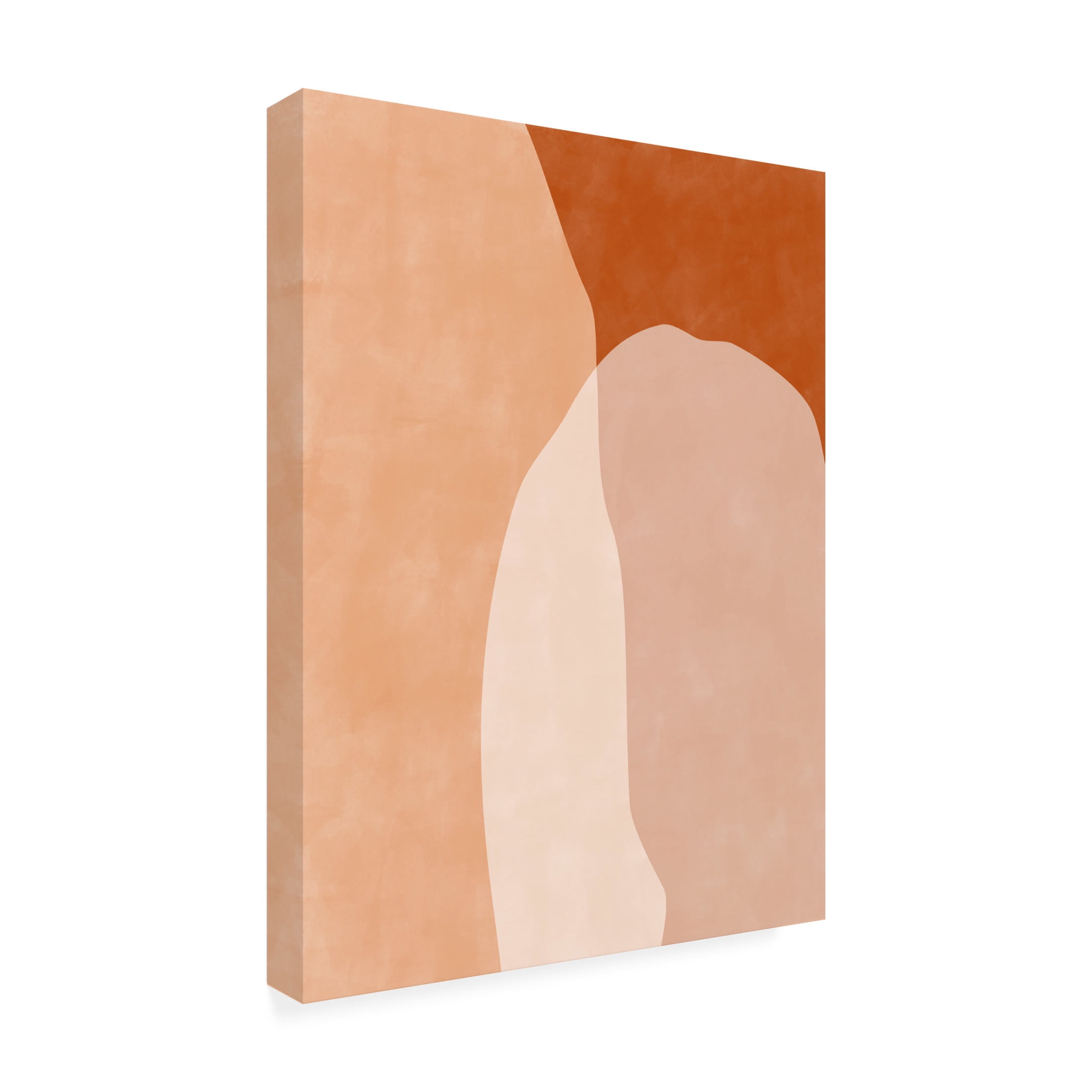 Trademark Fine Art Elena Ristova terracotta50 Canvas Wall Art