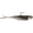 BAD SHAD, variant on Z-Man Graph Shadz 3.8" 1/4 oz Swimbait Glimmer Shad