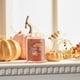 thumbnail image 4 of Vela Aromática Yankee Candle Calabaza Especiada 590 ml con 2 Mechas, 4 of 5