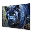 thumbnail image 2 of Designart "Gaze of the Panther I" Animals Metal Wall Art, 2 of 5